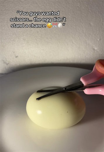 Mr eggs on TikTok