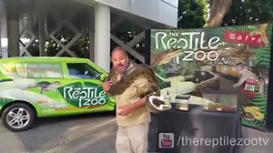 27K views · 439 reactions | Man EATING Anaconda!! What's more dangerous an Anaconda or a soda machine? Statistically the answer is clear, but in the media the story is different. Makes you wonder?!?! | The Reptile Zoo | Facebook