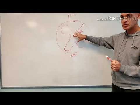 Basics Concepts of the Nervous System