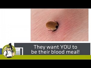 CAN TICKS CRAWL UNDER YOUR SKIN? -