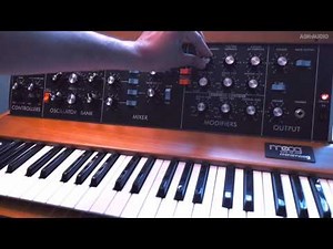 Moog Minimoog Model D Analog Synth Demo