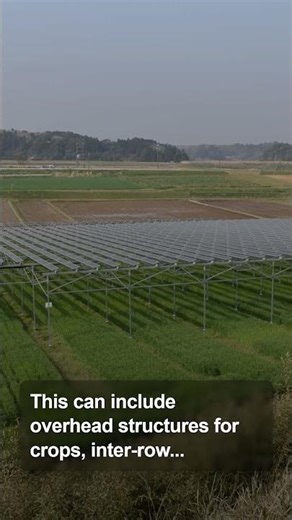 Agrivoltaics: Farming Under Solar Panels!