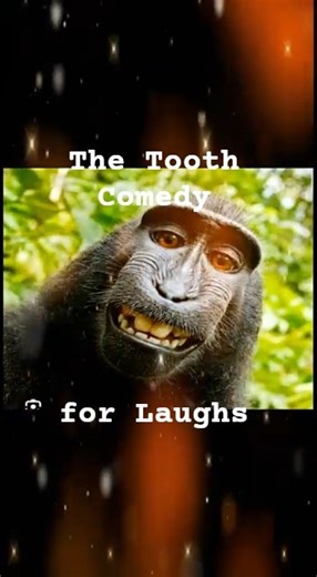 JUST FOR LAUGHS #laugh #comedy #shorts