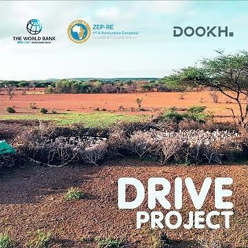 DRIVE PROJECT | ZEP-Re