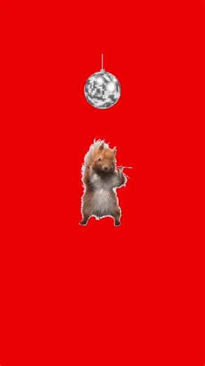 Dancing squirrel