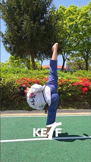 김제 찰칵 스팟📷_초등연맹 in김제 #초등연맹 #김제 #태권도대회 #reels #추천