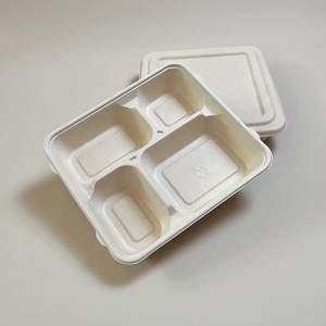 [Hot Item] 100% Biodegradable Composable Disposable Bagasse Paper Small 4compartment Box