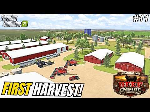 FIRST OAT HARVEST ON THE NEW $20,000,000 MEGA BEEF FARM! | Reading, MN | Farming Simulator 25 #11