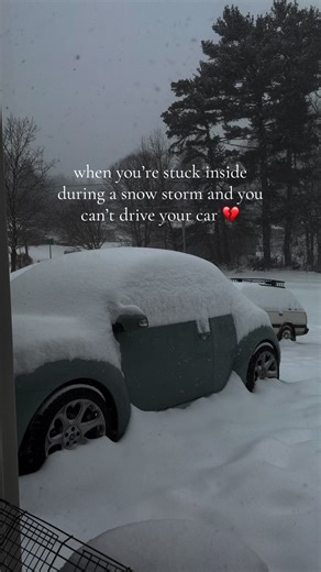 guys is tiktok working yet 💔 #vwbeetle #volkswagenbeetle #vwbug #volkswagenbug #dreamcar