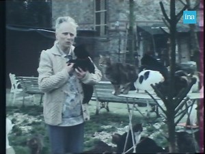 LA DAME AUX CHATS. «Vous êtes la reine des chats !» En 1980, Madame Bouchot vit entourée de 250 chats et a fait de sa demeure en Essonne, un refuge pour les chats perdus. Elle raconte comment elle a créé l’association le RCP (Regroupement des Chats Perdus) sur les conseils de Madame Soleil et considère ses félins comme sa véritable famille. | INA