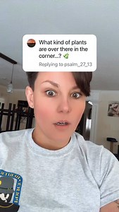 One of the most asked questions lol #plants #greenthumb #reels | Kris.10mc