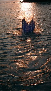 Mermaid during the sunset 🌇 Here is a video of a mermaid tail splashing out of the water during a sunset over Lake Michigan ✨️ This video was filmed by my mom and shows me in one of my many mermaid costumes. I am a professional mermaid performer. This is my job. #themagiccrafter #mermaid #mermaidtail #michiganmermaid #mermaids | The Magic Crafter