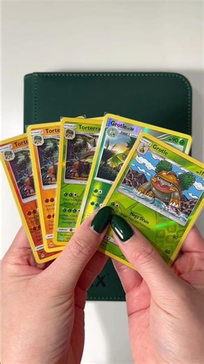 Washington Pick Ups for My Turtwig Masterset