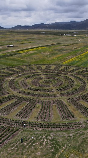 1.5K views · 31 reactions | From the sky, they look like huge,...