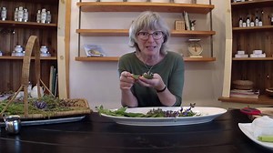 Savory Herbs // harvesting & preserving for the kitchen