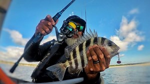 Watch RUNCL Spinning Fishing Reel Baelish, 5.2&colon;1 Gear Ratio Fish Reels on Amazon Live