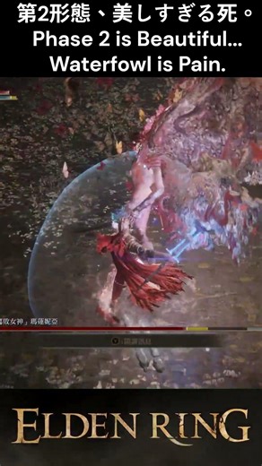 剛讚嘆完美貌，下一秒就被送回家☠️#EldenRing #Malenia #WaterfowlDance #Shorts#艾爾登法環 #瑪蓮妮雅 #水鳥亂舞