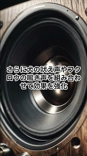 【ハクビシン撃退音】最短3分で【害獣退散】！