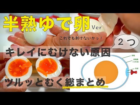 【完全保存版】半熟ゆで卵の作り方総まとめ/殻を簡単にむく方法 /ゆで時間/キレイにむけない原因/水からゆでる