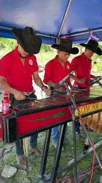 Marimba. Sonora quetzal.
