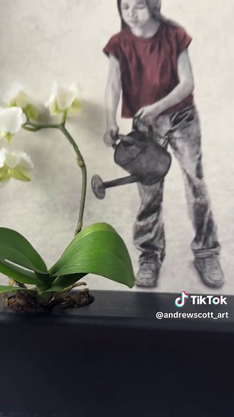 Andrew Scott Art on TikTok