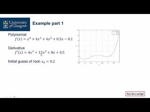 022 - Case Study： The Newton Raphson Method