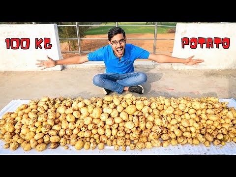 Making Magical Oobleck From 100 Kg Potatoes | Awesome Experiment