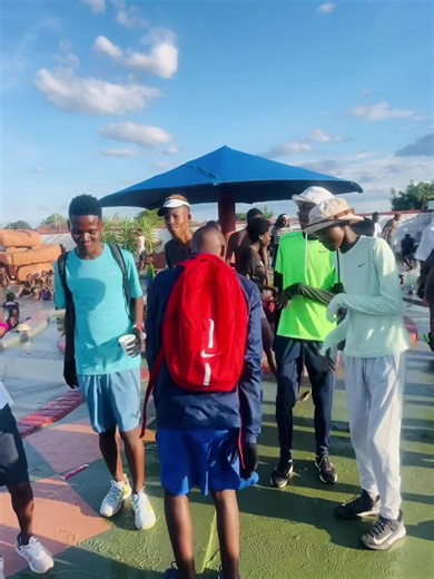 Exploring MMA Techniques and Training Insights