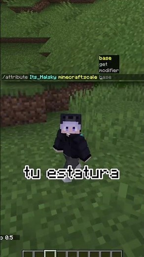 How to change your height in Minecraft? #minecraft #halsky #minecraftjava #funfacts