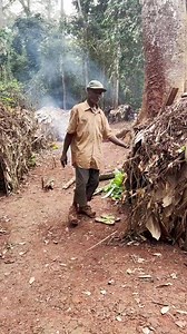 7.4K views · 253 reactions | Bushmen members of the indigenous hunter-gatherer cultures of southern Africa, and the oldest surviving cultures of the region. #bushmen #bushcraft #AfricanTribe | Bonfire 2.0 | Facebook