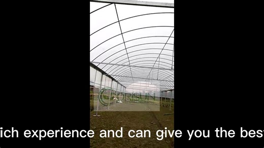 Large Multi-Span Greenhouse with Galvanized Steel and PE Material Greenhouse for Sale