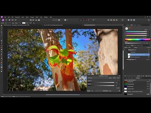Affinity Photo Radial Gradient Mask