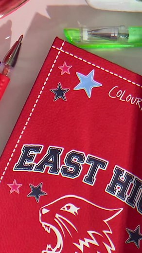 “What team?!” 📣🐾🏀 #HighSchoolMusical #DisneyandColourPop