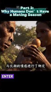 Why Humans Don’t Have a Mating Season