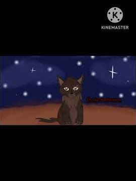 Oc Lgdc n°3 #oc #digitalart #speedpaint #lgdc #warriorcats