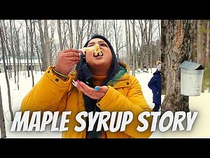 Maple Syrup 🍁 TRIP | How to Make Maple Syrup | Canadian Maple Syrup | Life in Canada