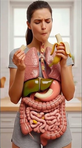 How Your Digestive System Breaks Down a 🍌 Banana 🍌 | 3D Anatomy Animation