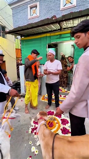 small breed cow trip car in home | welcome cow to celebrating home puja#short#viral#cow#trending#art