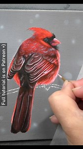 I use glazes throughout any of my acrylic paintings. For this little Cardinal painting, I used them for adding depth, colour and shading. Glazes allow us to adjust these aspects of our paintings without having to paint over entire areas and starting from scratch. The layering of the paints is key but I find glazes help to being the layers together. - - - Reference photo: Chris Chow from Unsplash | Zara's Pet Portraits & Wildlife Art