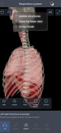 Explore Human Anatomy in 3D | Interactive Anatomy App for Students & Doctors