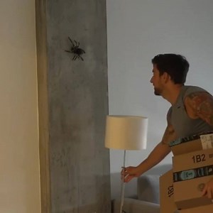 294 reactions · 637 shares | Do you also feel photos are so 2017? Welcome to musical.ly. All video, all the time. | TikTok | Facebook