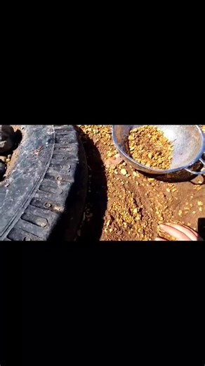 Exploring Authentic Gold Nuggets Outdoors