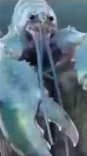 Shrek forever after | do the roar