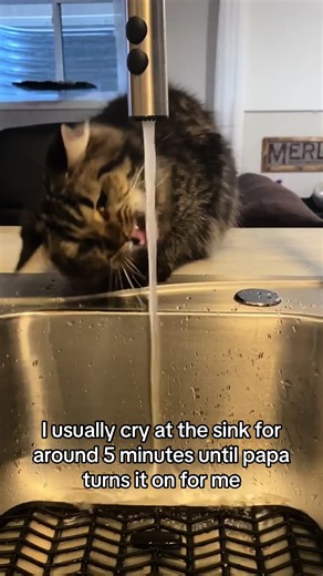 Ubba Scuba on TikTok