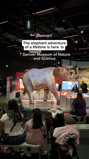 See it before it closes! "The Secret World of Elephants" reveals the science, culture and lives of elephants. Closes Jan. 25. | Denver Museum of Nature & Science