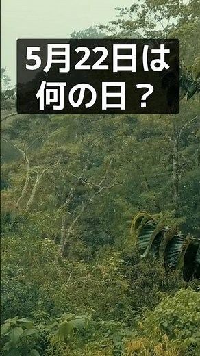 5月22日は国際生物多様性の日｜命のつながりが、私たちの暮らしを支えている