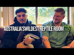 Australian Reptiles Up Close: Rare Rough Scaled Python & More | AtallasWildlife x Crikey Critters