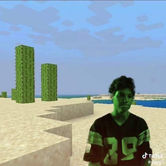 Choppy Fan Edit of The Karate Kid and Minecraft