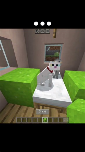 Minecraft cat moment #fyp #shortsfeed