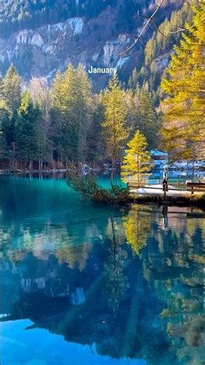 Switzerland in all 12 months #travel #vlog #swit